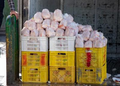 ثبات قیمت مرغ در بازار ادامه دارد
